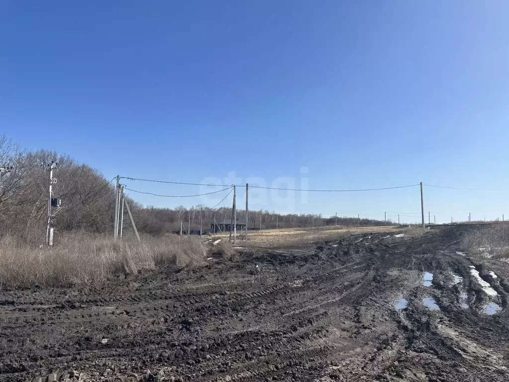 Участок в Белгородская область, Белгородский район, Дубовское с/пос, ... - Фото 1