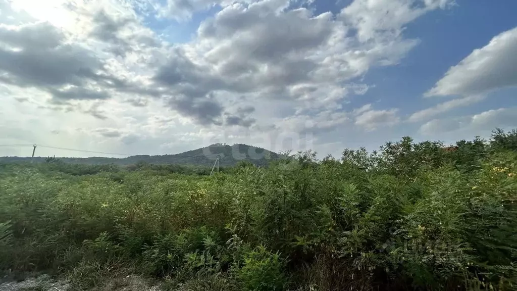 Участок в Северная Осетия, Владикавказ Учитель СТ, 108 (4.6 сот.) - Фото 2