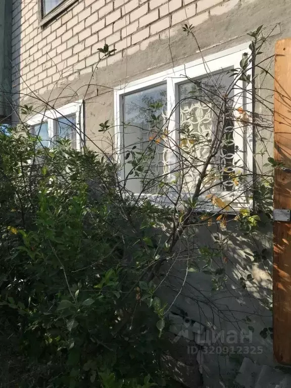 Дом в Татарстан, Казань Виктория-Остров СНТ, 7/17 (38 м) - Фото 2