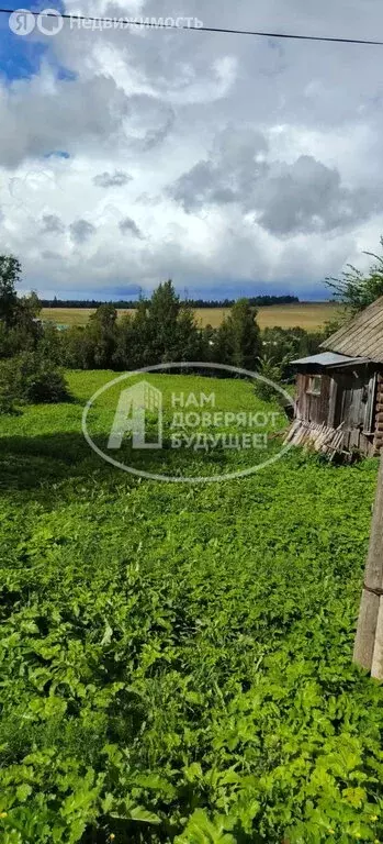 Дом в село Ананьино, Центральная улица, 50 (21.8 м) - Фото 1