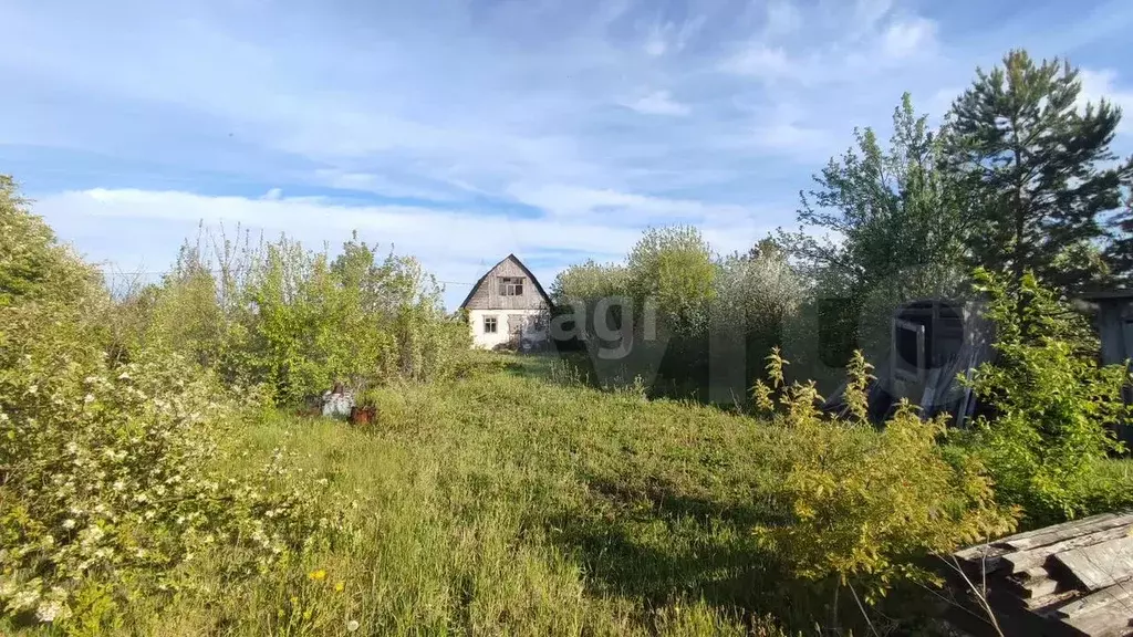 Участок 10,7 сот. (СНТ, ДНП) - Фото 0