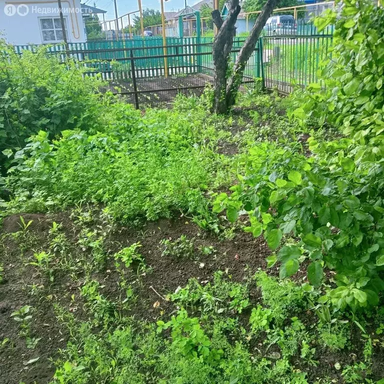 Дом в посёлок Колодезный, улица Новикова, 5 (39 м) - Фото 1