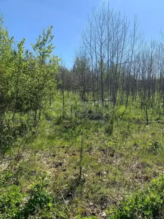 Участок в Свердловская область, Ревда муниципальный округ, с. Кунгурка ... - Фото 2