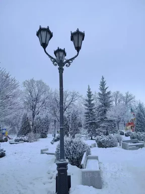 1-к кв. Самарская область, Тольятти Спортивная ул., 1В (56.0 м) - Фото 2