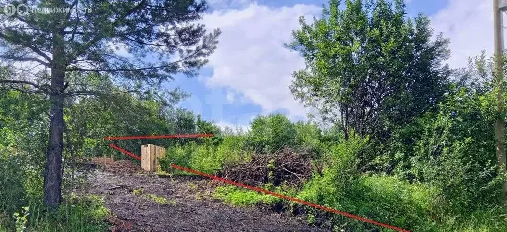 Участок в Горно-Алтайск, СНТ Алтай-3 (4.33 м) - Фото 1