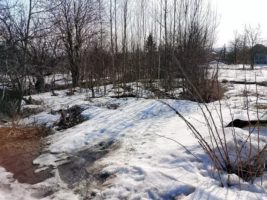 Участок в Вологодская область, Череповец № 1 Металлург СНТ, 1032 ... - Фото 1