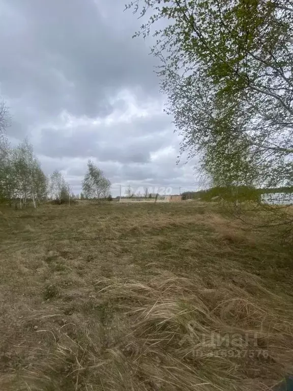 Участок в Челябинская область, Копейский городской округ, пос. ... - Фото 1