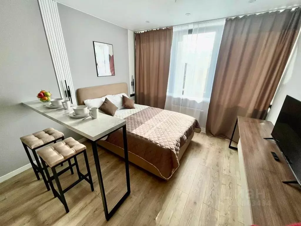 Студия Санкт-Петербург просп. Энергетиков, 2к2 (24.0 м) - Фото 0