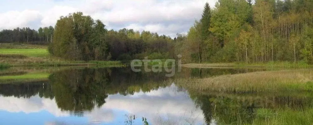 Участок в Костромская область, Красносельский район, Шолоховское ... - Фото 1