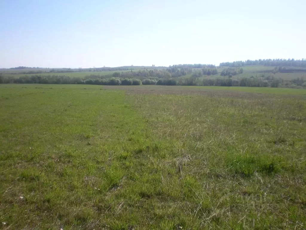 Участок в Свердловская область, Нижнесергинский район, Михайловское ... - Фото 1