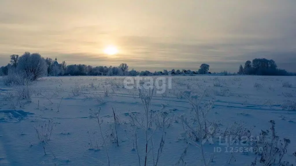 Участок в Воронежская область, Хохольское городское поселение, с. ... - Фото 0