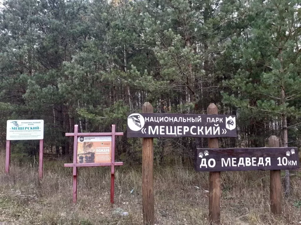 Участок в Рязанская область, Клепиковский район, Болоньское с/пос, д. ... - Фото 1
