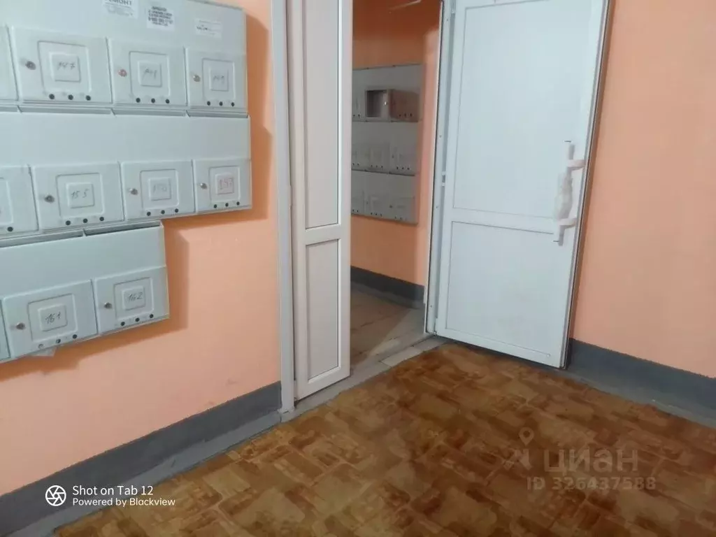 1-к кв. Саратовская область, Саратов проезд 5-й Динамовский, 6 (25.0 ... - Фото 1