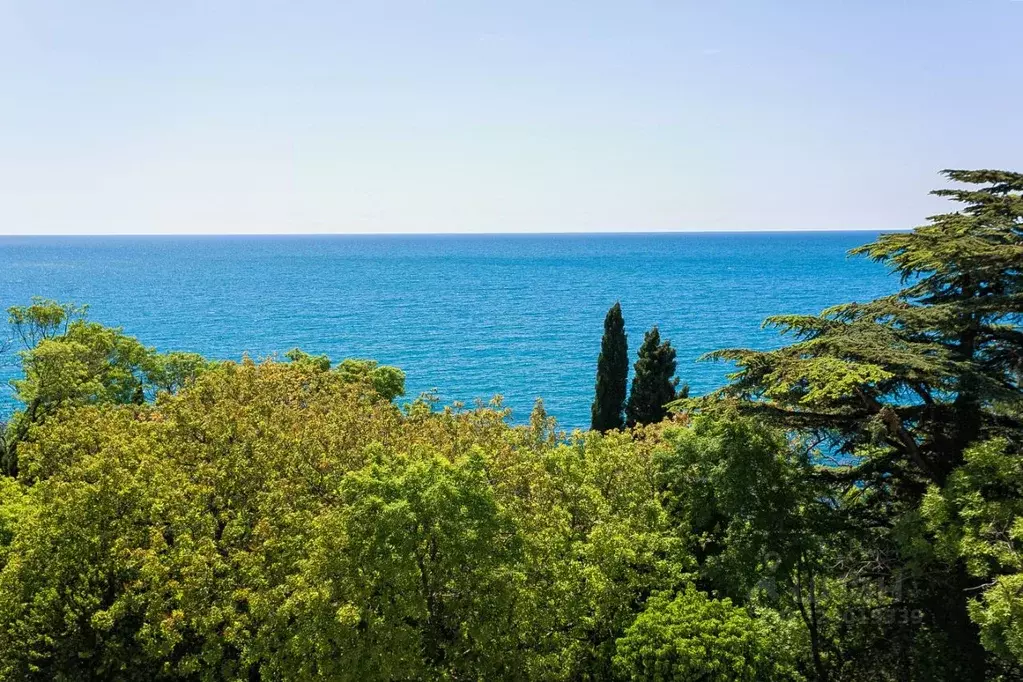 Помещение свободного назначения в Крым, Ялта муниципальный округ, ... - Фото 2