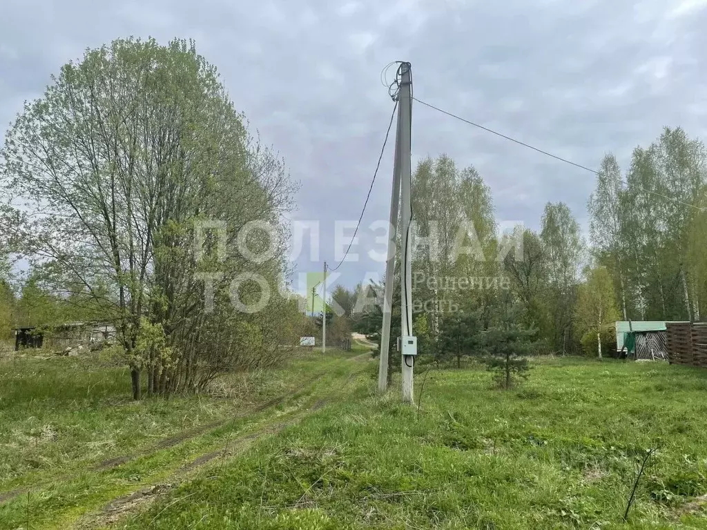 Участок в Новгородская область, Боровичский район, Сушанское с/пос, ... - Фото 1