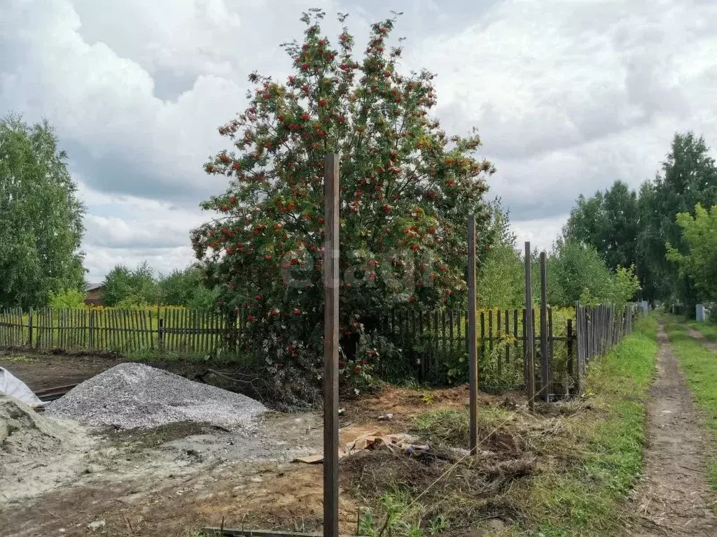 Участок в Новосибирская область, Ордынское рп, Рябинка СНТ ул. ... - Фото 0