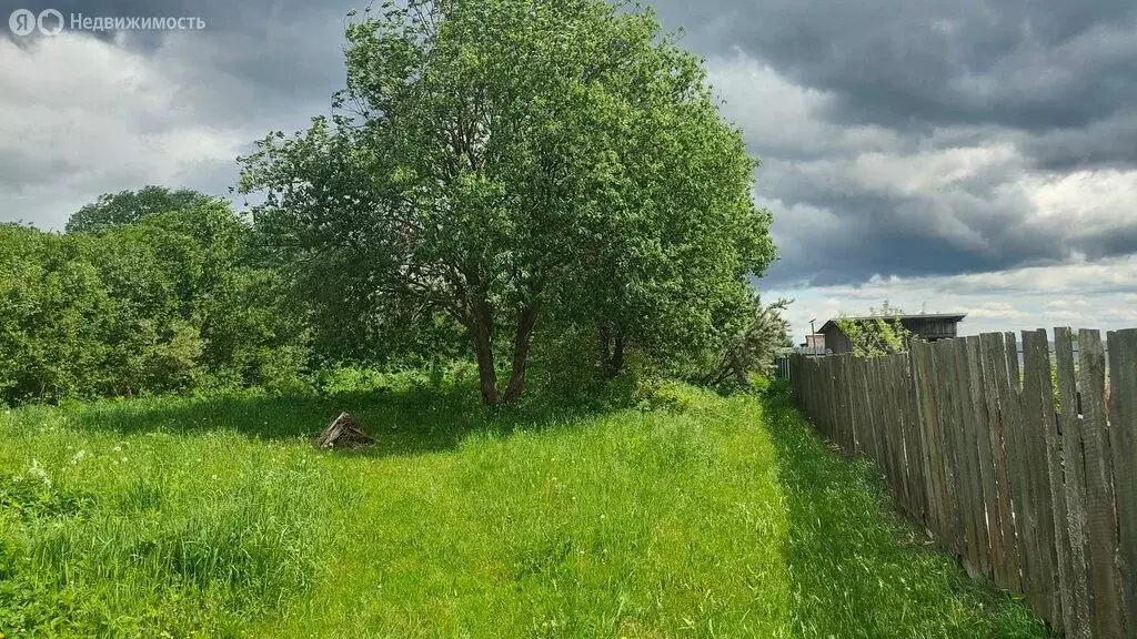 Участок в Тверская область, Конаковский муниципальный округ, СНТ Нива, ... - Фото 2