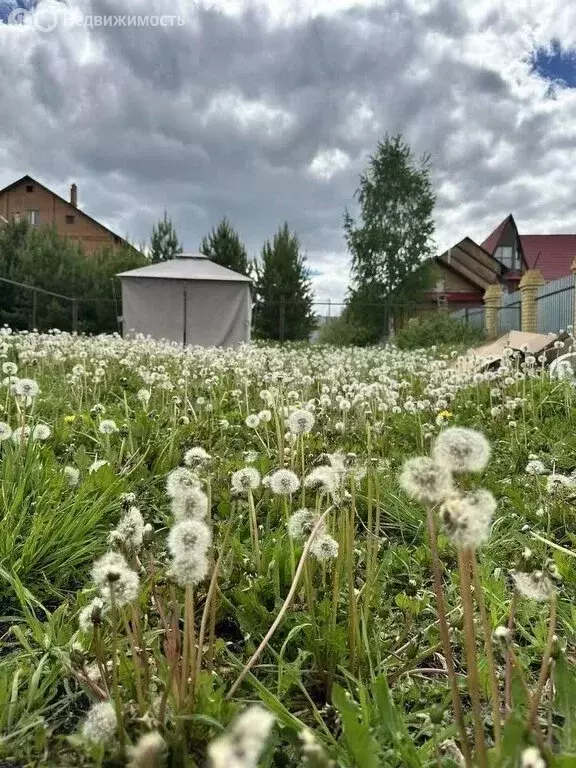 Участок в Тюменский район, деревня Насекина, Центральная улица (10 м) - Фото 1