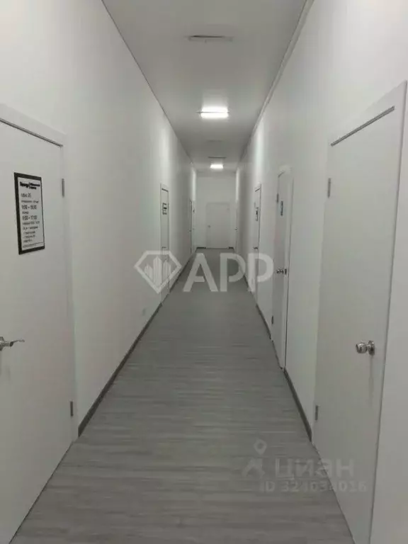 Офис в Краснодарский край, Новороссийск просп. Дзержинского, 190 (31 ... - Фото 1