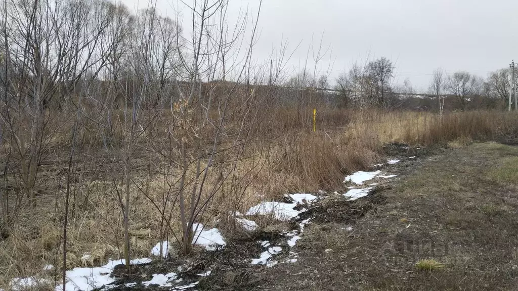 Участок в Рязанская область, Рязанский район, Подвязьевское с/пос, с. ... - Фото 1