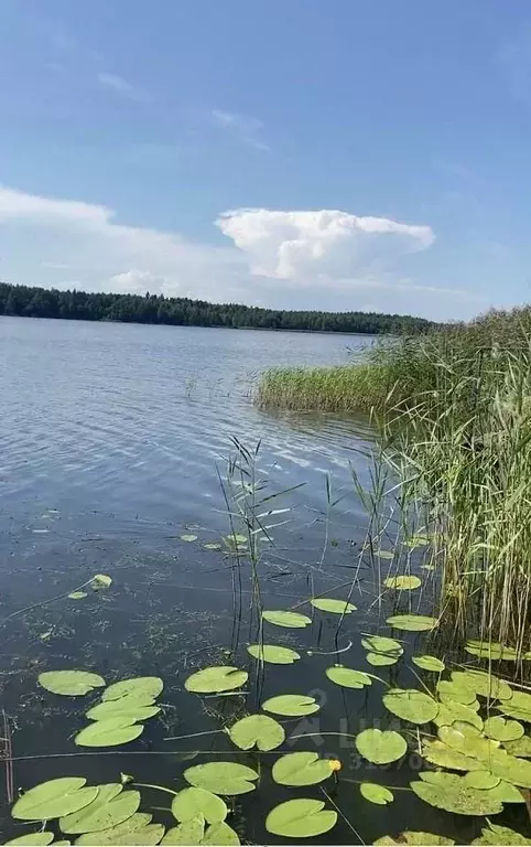 Дом в Тверская область, Вышневолоцкий муниципальный округ, д. ... - Фото 0