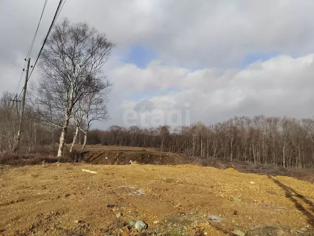 Участок в Сахалинская область, Анивский городской округ, с. Троицкое  ... - Фото 1
