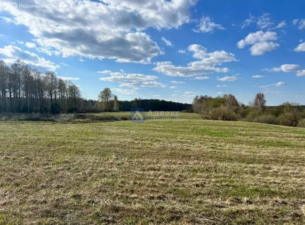 Участок в Тюменский район, деревня Насекина (9.6 м) - Фото 0