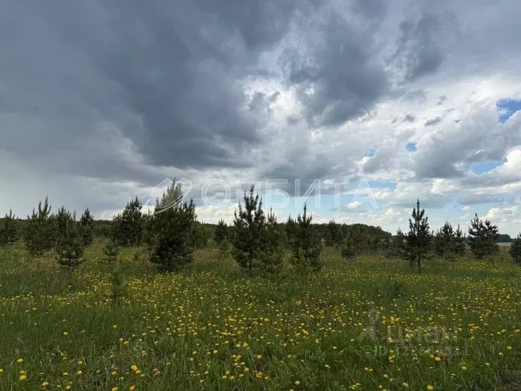 Участок в Тюменская область, Тюменский муниципальный округ, с. ... - Фото 2