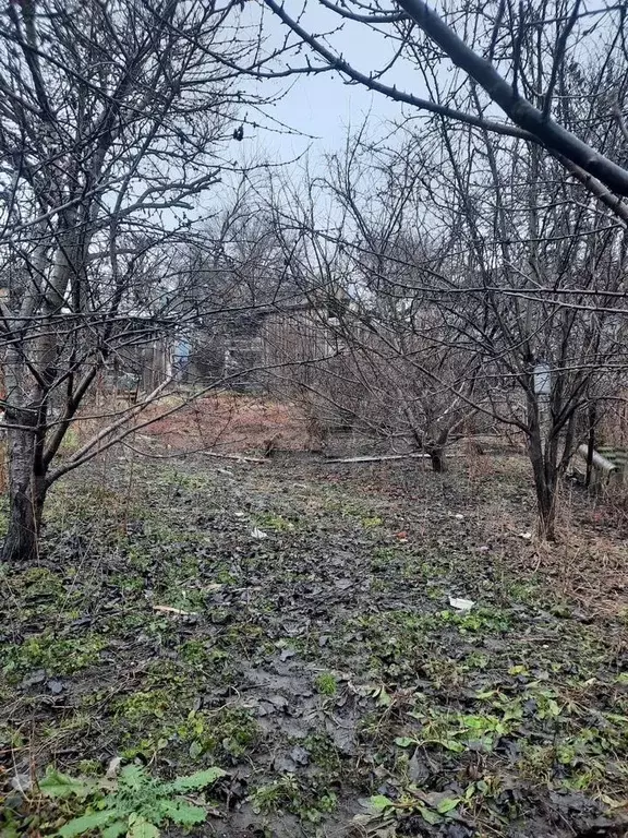 Участок 6 сот. (ИЖС) - Фото 0