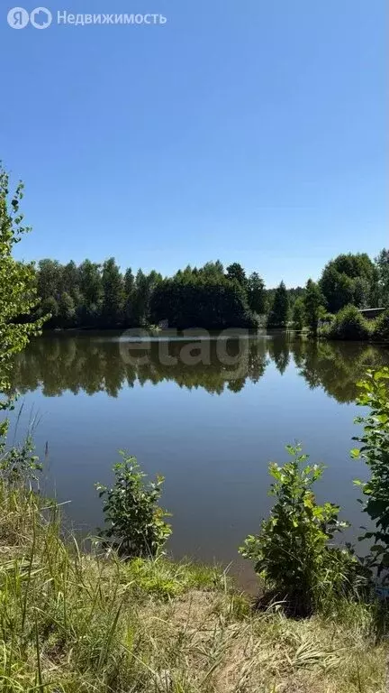 Участок в Нетьинское сельское поселение, СДТ Нетьинка (6 м) - Фото 1