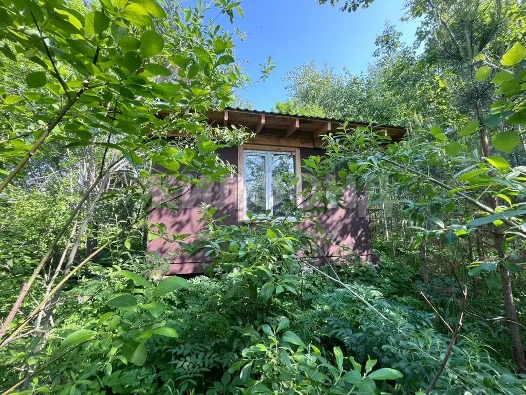 Участок в Новосибирская область, Новосибирский район, Барышевский ... - Фото 1