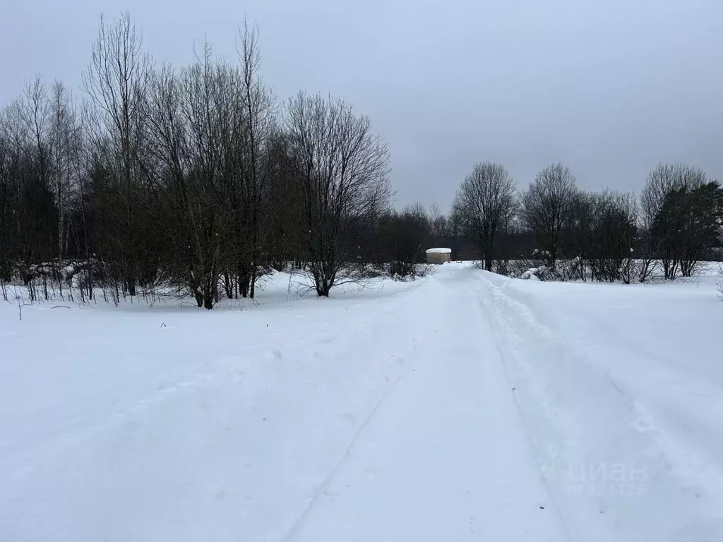 Участок в Владимирская область, Александровский район, Каринское ... - Фото 0