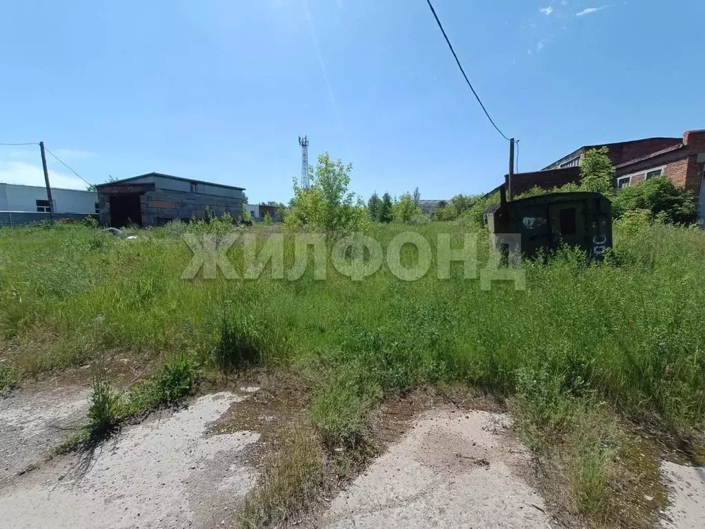 Участок в Новосибирская область, Колывань рп просп. Революционный ... - Фото 0