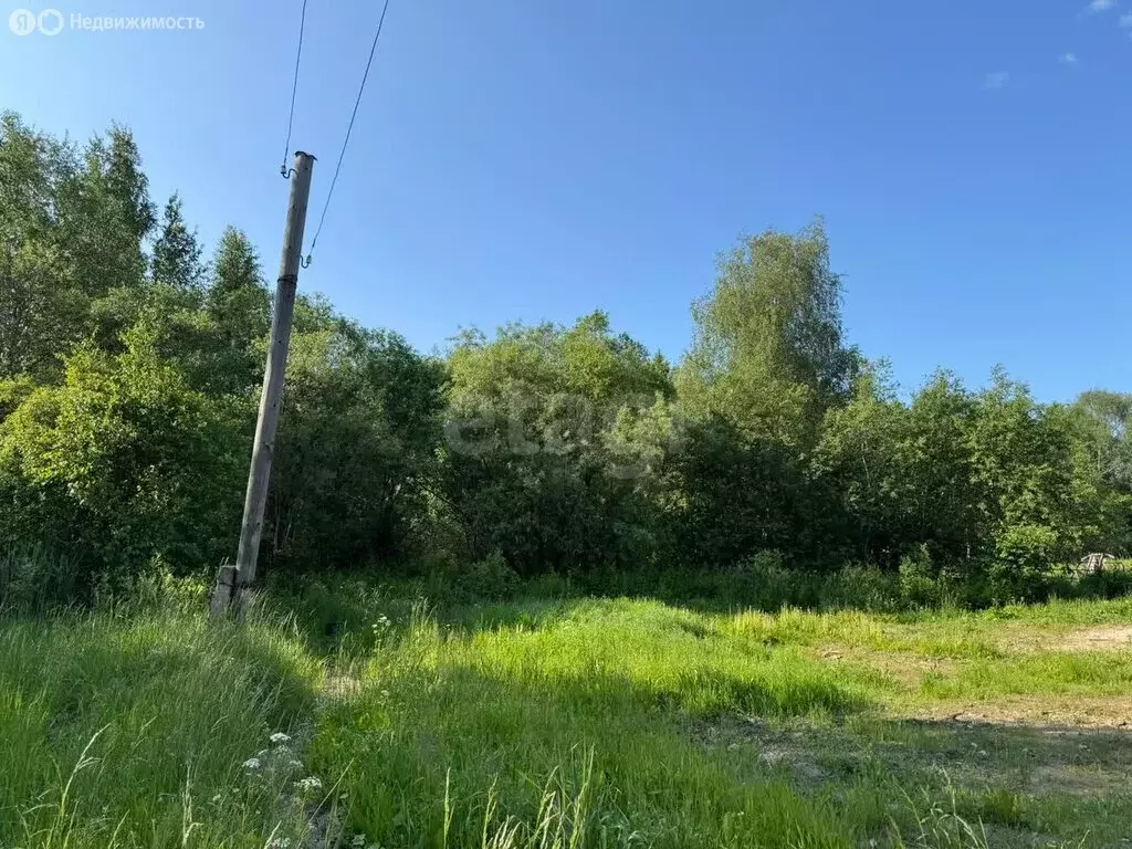 Участок в Вологодская область, Череповецкий муниципальный округ, ... - Фото 1