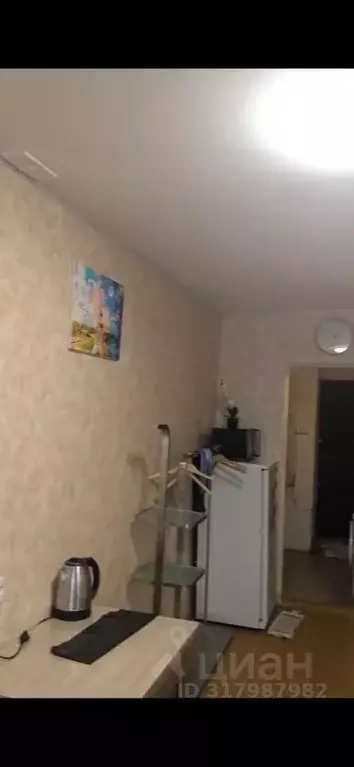 1-к кв. Иркутская область, Иркутск Пограничный пер., 1б (28.0 м) - Фото 1