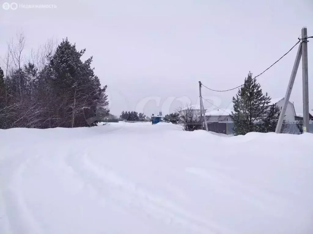 Участок в Тюменская область, Нижнетавдинский муниципальный округ, ... - Фото 1