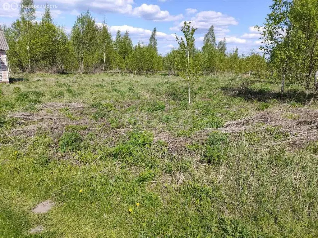 Участок в Добрунское сельское поселение, садоводческое некоммерческое ... - Фото 2