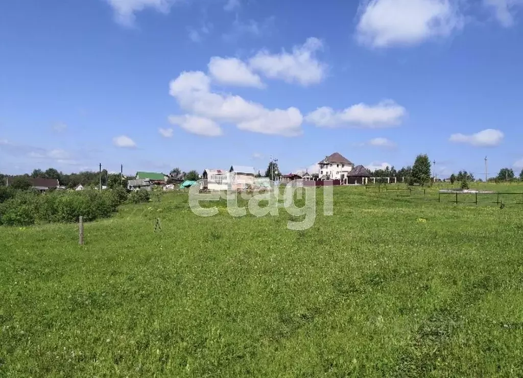 Участок в Пермский край, Добрянский городской округ, д. Боровково  ... - Фото 1