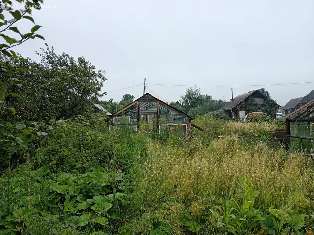 Участок в Ревда, садово-огородническое товарищество № 1а АО СУМЗ (6.49 ... - Фото 1