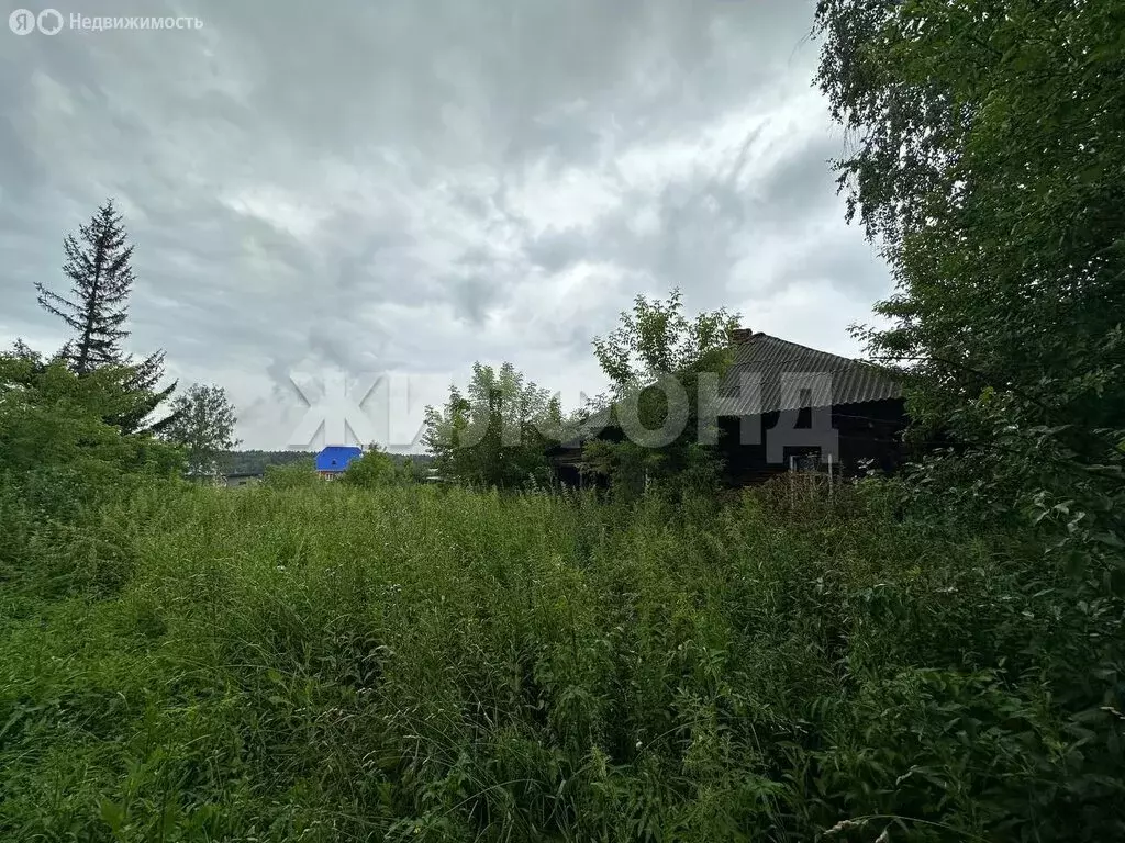 Дом в Барышево, улица Черняховского (45 м) - Фото 1