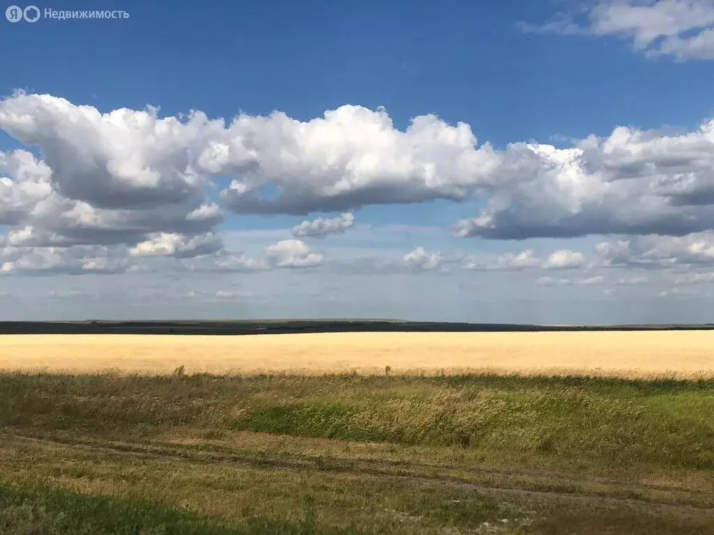 Участок в село Копорье, территория Участок Копорье (270 м) - Фото 2