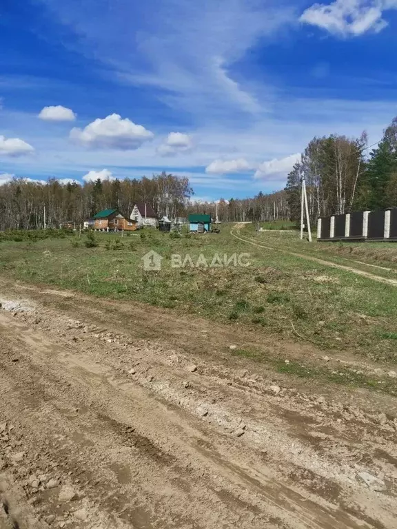 Д чижово. Деревня Чижово Владимирская область. Владимирская земля. Лесогорье.