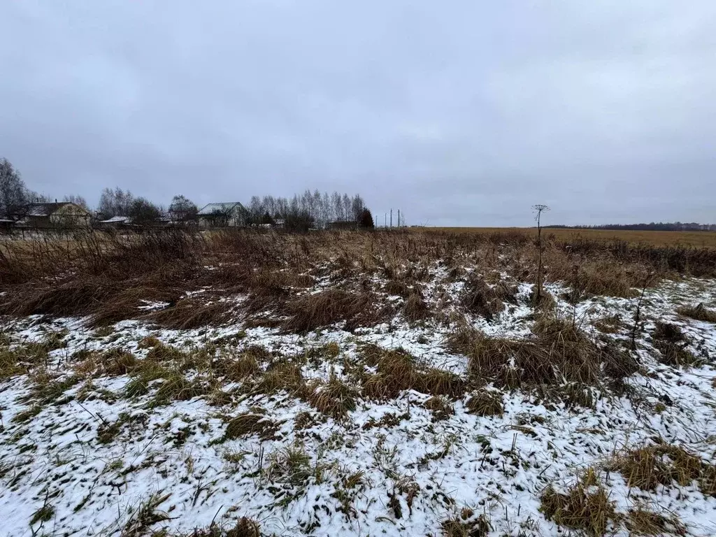 Участок в Московская область, Волоколамский муниципальный округ, д. ... - Фото 1