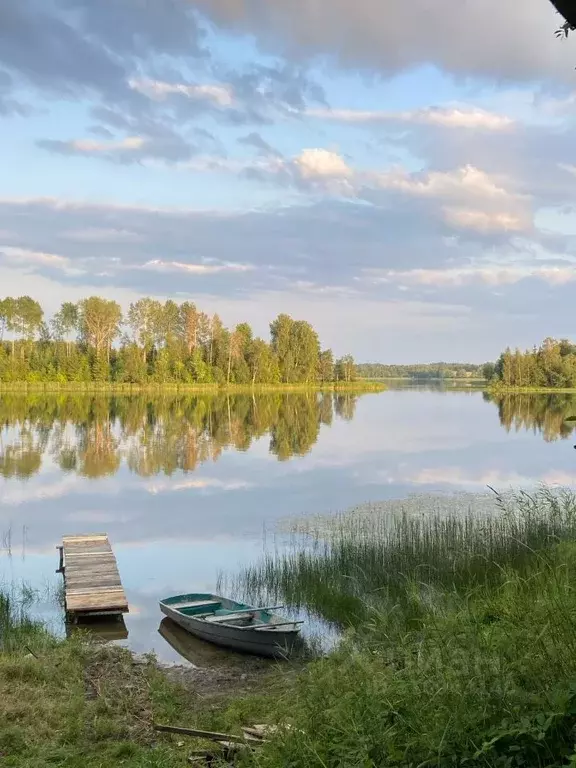 Дом в Новгородская область, Валдайский район, Костковское с/пос, д. ... - Фото 0