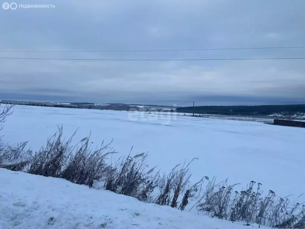 Участок в Нижегородская область, Дальнеконстантиновский муниципальный ... - Фото 1