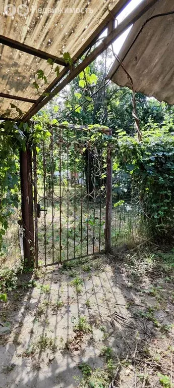 Участок в Северская, Казачья улица, 108 (9 м) - Фото 1