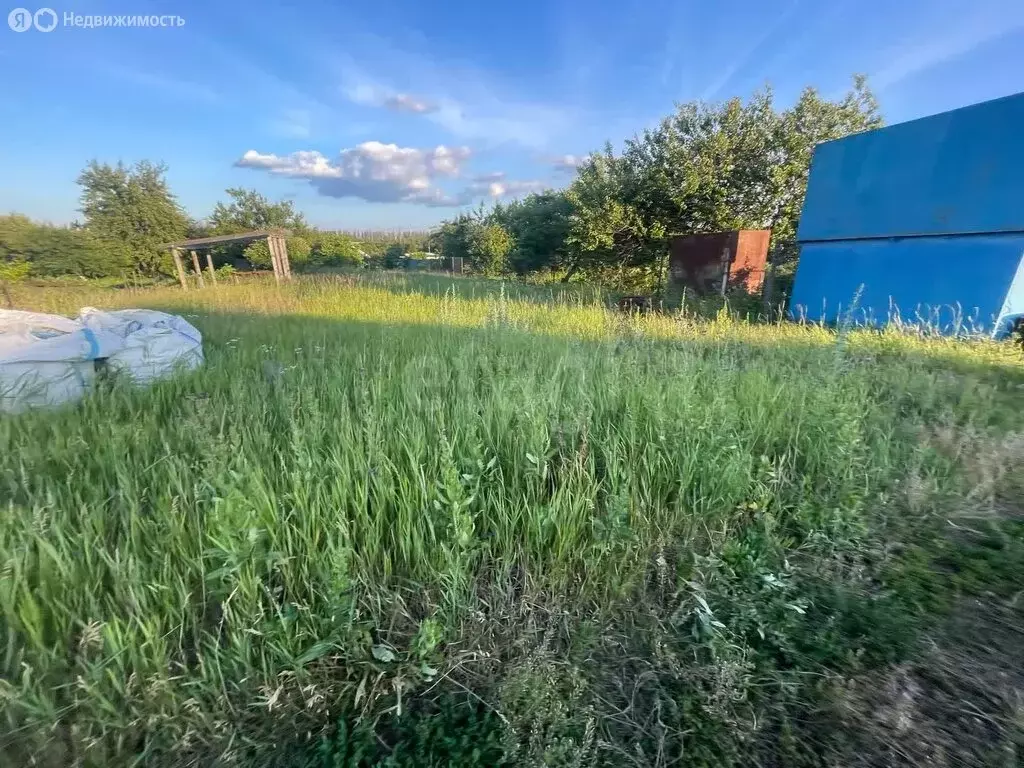 Участок в Стрелецкое, садоводческое некоммерческое товарищество ... - Фото 1
