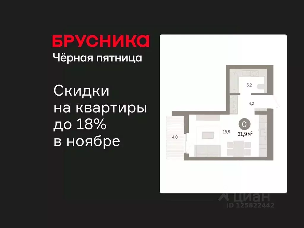 Студия Ленинградская область, Ломоносовский район, Аннинское городское ... - Фото 1