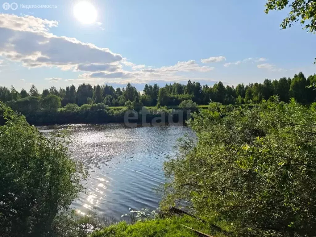 Участок в Костромской район, Сандогорское сельское поселение, хутор ... - Фото 0