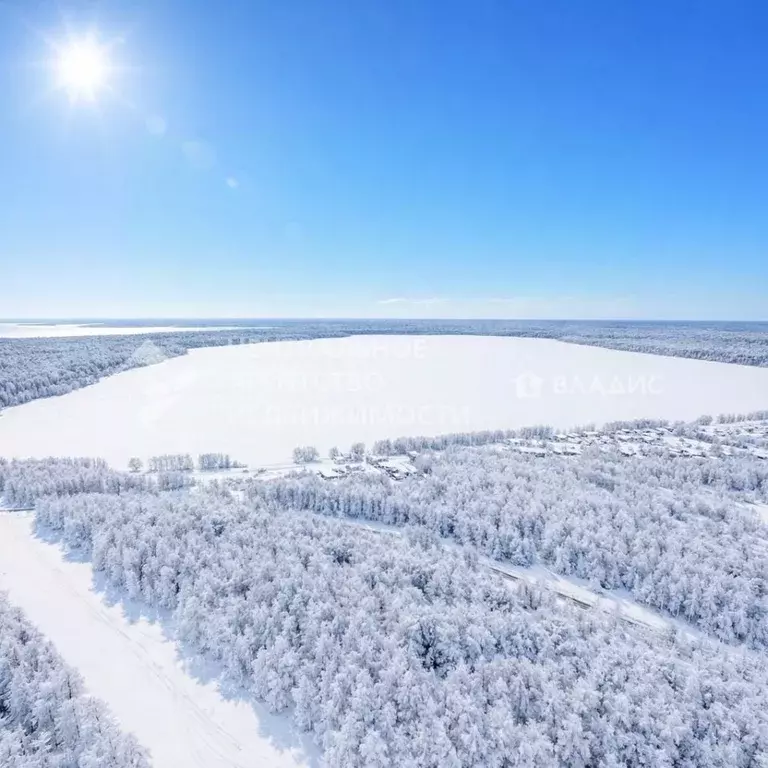 Участок в Рязанская область, Клепиковский муниципальный округ, д. ... - Фото 1